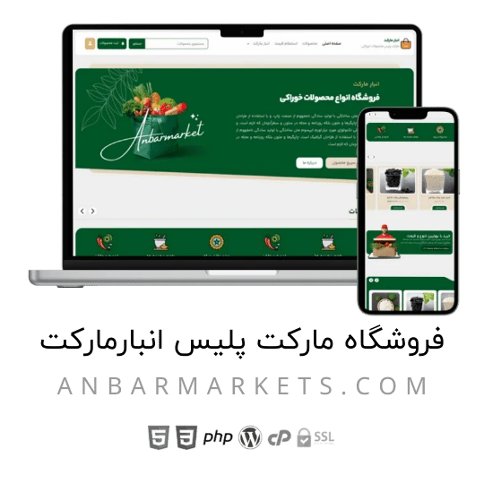 قالب طراحی سایت (24)