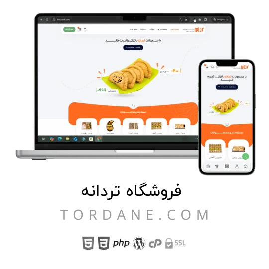 قالب طراحی سایت (9)