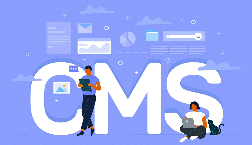 CMS اختصاصی چیست؟