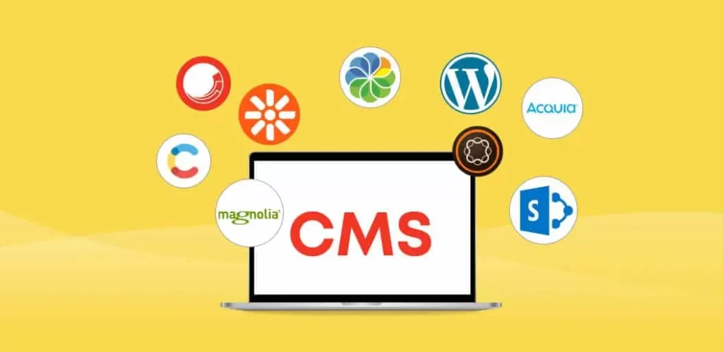 CMS اختصاصی چیست؟