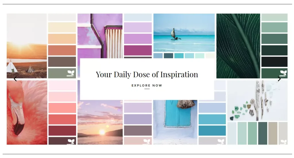 بهترین ترکیب رنگ ها برای طراحی وبسایت 