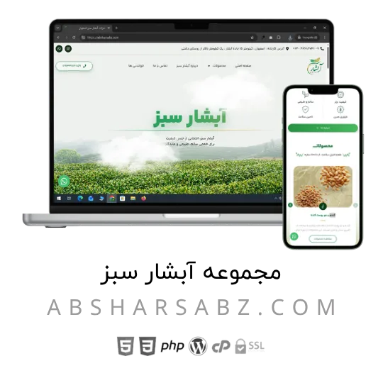 قالب طراحی سایت (3)